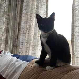 Meet your Posher, Kathy